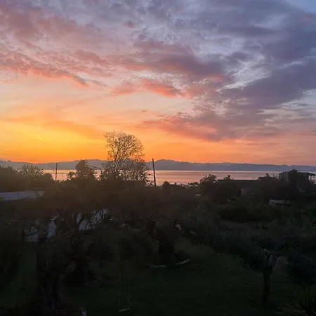 Firefly Panayiota 15 Moraitika